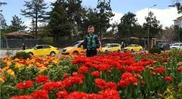 Isparta'da dikilen &ccedil;i&ccedil;ekler şehri renklendirdi