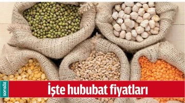 İŞTE HUBUBAT FİYATLARI