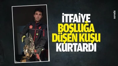 İtfaiye, boşluğa d&uuml;şen kuşu kurtardı
