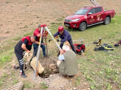 İtfaiye ekipleri kuyuya d&uuml;şen koyunu kurtardı