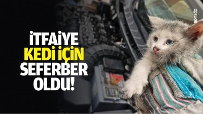 İtfaiye, kedi i&ccedil;in seferber oldu!