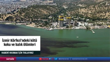 İzmir K&ouml;rfezi'ndeki k&ouml;t&uuml; koku ve balık &ouml;l&uuml;mleri