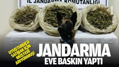 Jandarma, eve baskın yaptı; Uyuşturucu satmak i&ccedil;in m&uuml;şteri arıyormuş!