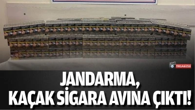 Jandarma, ka&ccedil;ak sigara avına &ccedil;ıktı!
