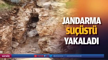 Jandarma, su&ccedil;&uuml;st&uuml; yakaladı