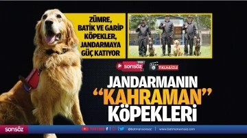 Jandarmanın "kahraman" k&ouml;pekleri
