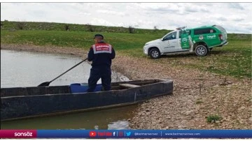 Ka&ccedil;ak avlanan avcıların g&ouml;lete attığı ağa takılan balıklar suya salındı