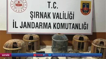 Ka&ccedil;ak keklik avlayan &uuml;&ccedil; kişiye 122 bin 630 lira ceza uygulandı