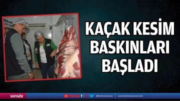Ka&ccedil;ak kesim baskınları başladı