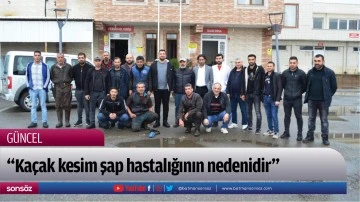 &ldquo;Ka&ccedil;ak kesim şap hastalığının nedenidir&rdquo;