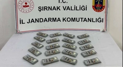 Ka&ccedil;ak&ccedil;ılık ve asayiş operasyonlarında 117 ş&uuml;pheli hakkında işlem yapıldı