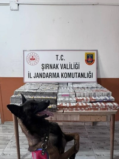 Ka&ccedil;ak&ccedil;ılık ve asayiş operasyonlarında 2 kişi tutuklandı