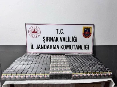 Ka&ccedil;ak&ccedil;ılık ve asayiş operasyonlarında 82 kişi hakkında işlem yapıldı