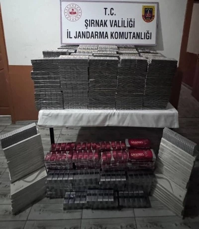 Ka&ccedil;ak&ccedil;ılık ve asayiş operasyonlarında yakalanan 3 zanlı tutuklandı