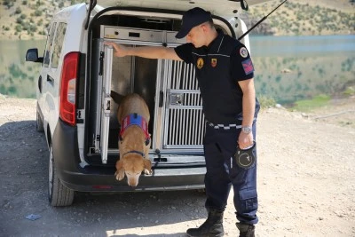 Kadavra arama k&ouml;peği "Pusat" jandarmanın en b&uuml;y&uuml;k yardımcısı