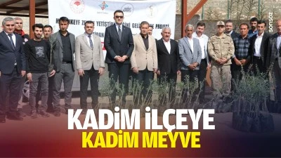 Kadim il&ccedil;eye kadim meyve