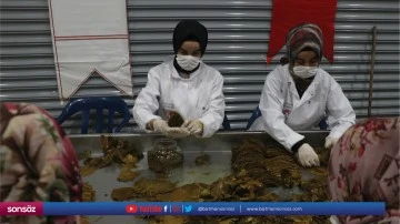 Kadın kooperatifince kurulan salamura yaprak tesisinin a&ccedil;ılışı yapıldı