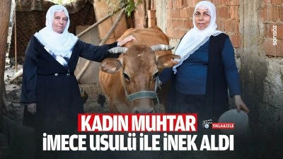 Kadın Muhtar, İMECE usul&uuml; ile inek aldı