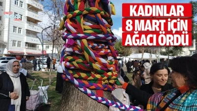 Kadınlar 8 Mart i&ccedil;in ağacı &ouml;rd&uuml;