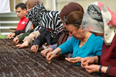 Kadınların &uuml;reteceği fideler &ccedil;ift&ccedil;ilere de yetimlere de katkı sunacak