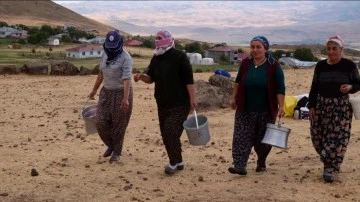 Kadınların yayladaki s&uuml;t sağım mesaisi s&uuml;r&uuml;yor