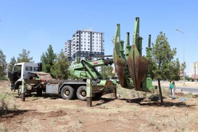 Kaldırılması zorunlu olan ağa&ccedil;lar Kent-1 Ormanlık Alanı&rsquo;na nakledildi