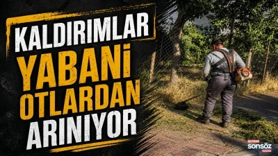 Kaldırımlar yabani otlardan arınıyor