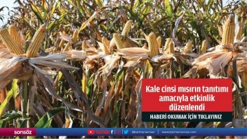 Kale cinsi mısırın tanıtımı amacıyla etkinlik d&uuml;zenlendi