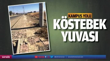 Kampus yolu, k&ouml;stebek yuvası&hellip;