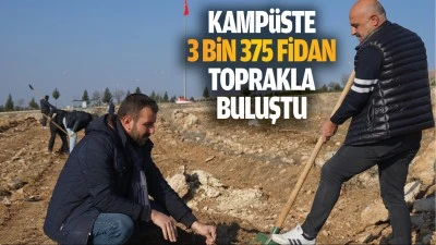 Kamp&uuml;ste 3 bin 375 fidan toprakla buluştu