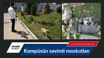 Kamp&uuml;s&uuml;n sevimli maskotları