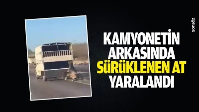 Kamyonetin arkasında s&uuml;r&uuml;klenen at yaralandı