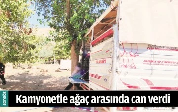 KAMYONETLE AĞA&Ccedil; ARASINDA CAN VERDİ