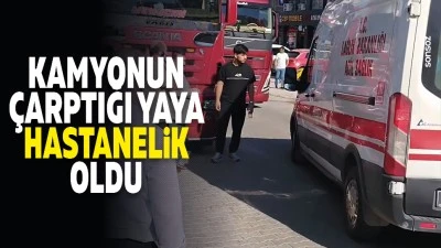 Kamyonun &ccedil;arptığı yaya hastanelik oldu