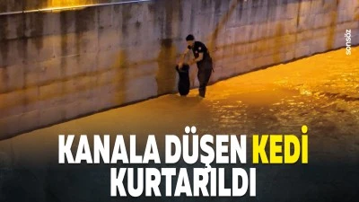 Kanala d&uuml;şen kedi kurtarıldı