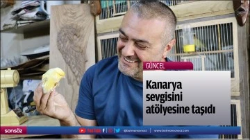 Kanarya sevgisini at&ouml;lyesine taşıdı