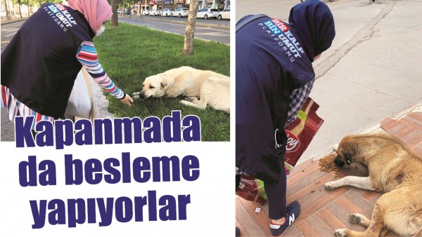 KAPANMADA DA BESLEME YAPIYORLAR