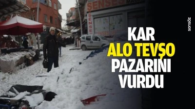 Kar Alo Tevşo pazarını vurdu