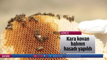 Kara kovan balının hasadı yapıldı