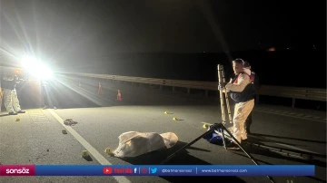 Kara yolu kenarında kadın cesedi bulundu