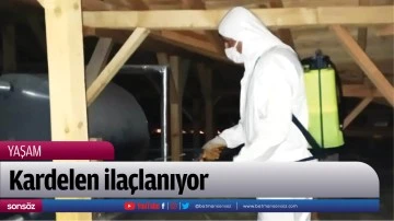 Kardelen ila&ccedil;lanıyor
