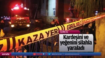 Kardeşini ve yeğenini silahla yaraladı