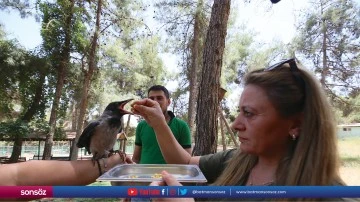Karga tedavi edildiği hayvanat bah&ccedil;esinin en yeni &uuml;yesi oldu
