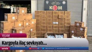 Kargoyla ila&ccedil; sevkıyatı&hellip;
