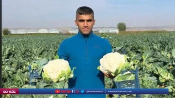 Karnabahar &uuml;reticileri dertli
