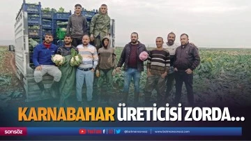 Karnabahar &uuml;reticisi zorda&hellip;