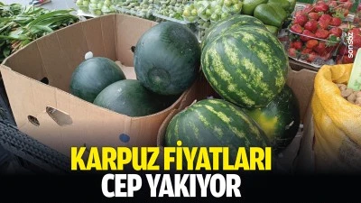 Karpuz fiyatları cep yakıyor