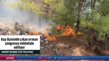 Kaş il&ccedil;esinde &ccedil;ıkan orman yangınına m&uuml;dahale ediliyor