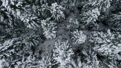 Kastamonu'da karla kaplanan ormanlar dron ile g&ouml;r&uuml;nt&uuml;lendi
