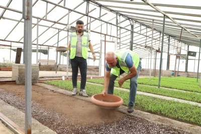 Kavşak ve ref&uuml;jler bir milyon &ccedil;i&ccedil;ekle s&uuml;slenecek